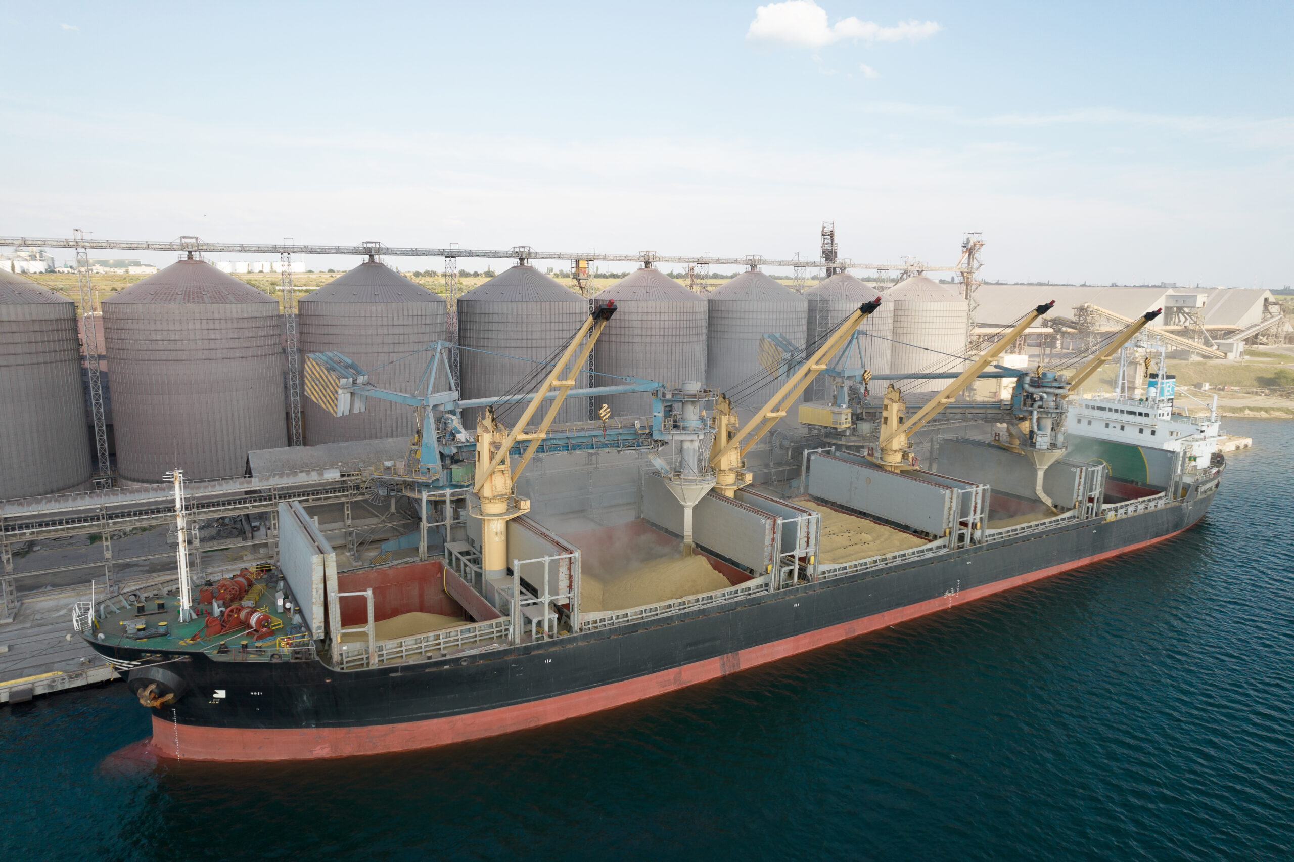 Loading grain into holds of sea cargo vessel